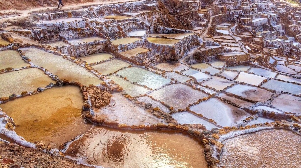 This is an interesting and fun trip combined with visiting Moray nearby ( I recommend Moray first). We started at the market at the top and bought some Maras salt to take home, then we walked the entire rim of the salt mines...wear grippy shoes as the path is narrow in places. Then we followed the path down to the bottom of the canyon, around the side of the mountain to your right, crossed the bridge which was where our driver picked us up. Probably a 2 mile hike.