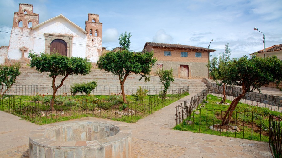 Cusco showing a garden
