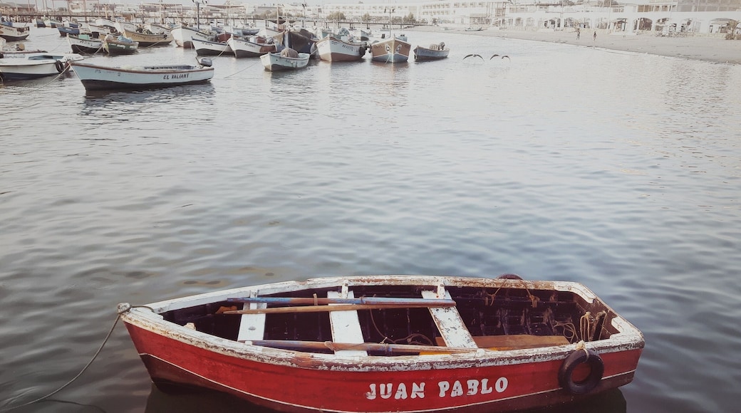 Little fishing boat.