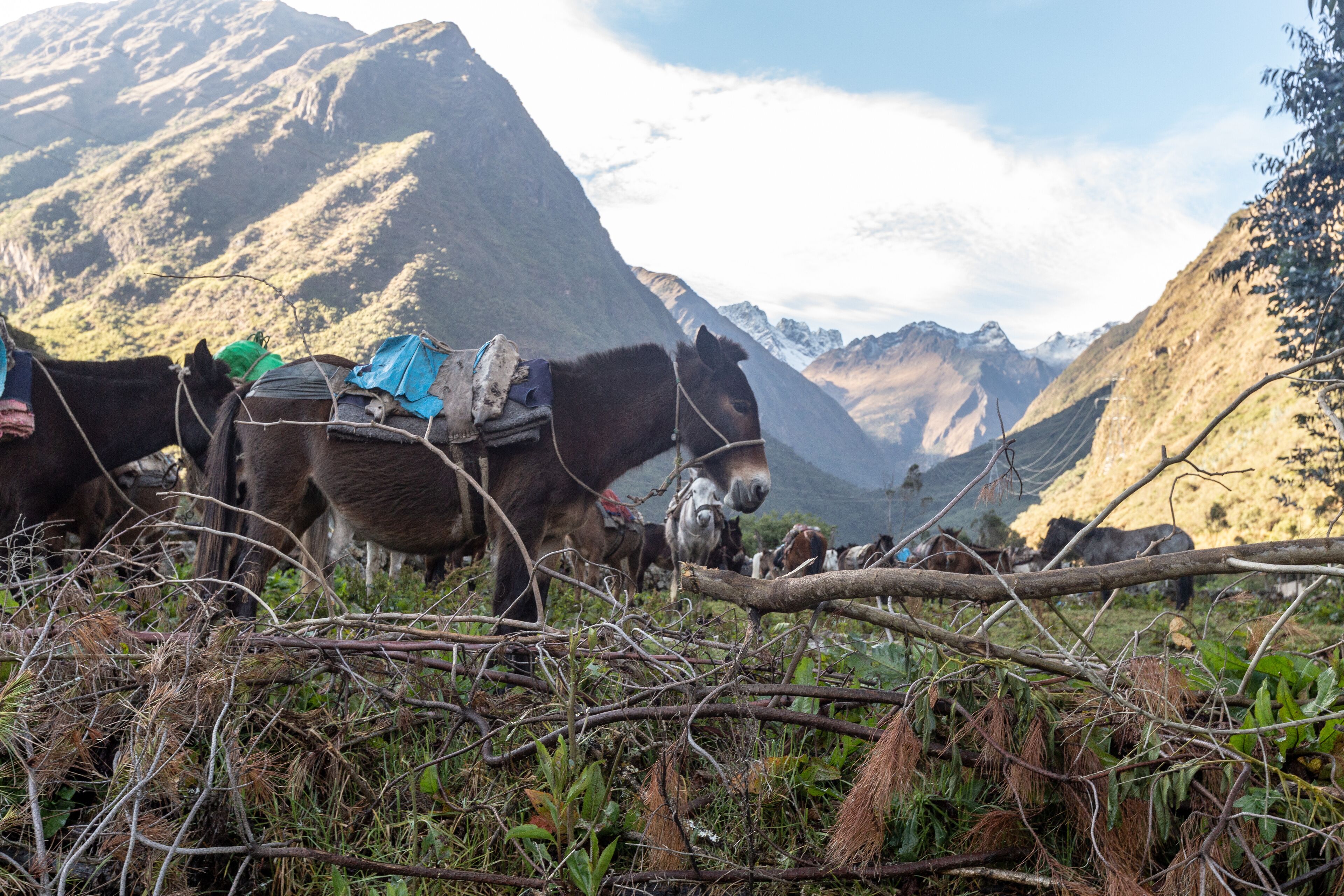 Salkantay trek
