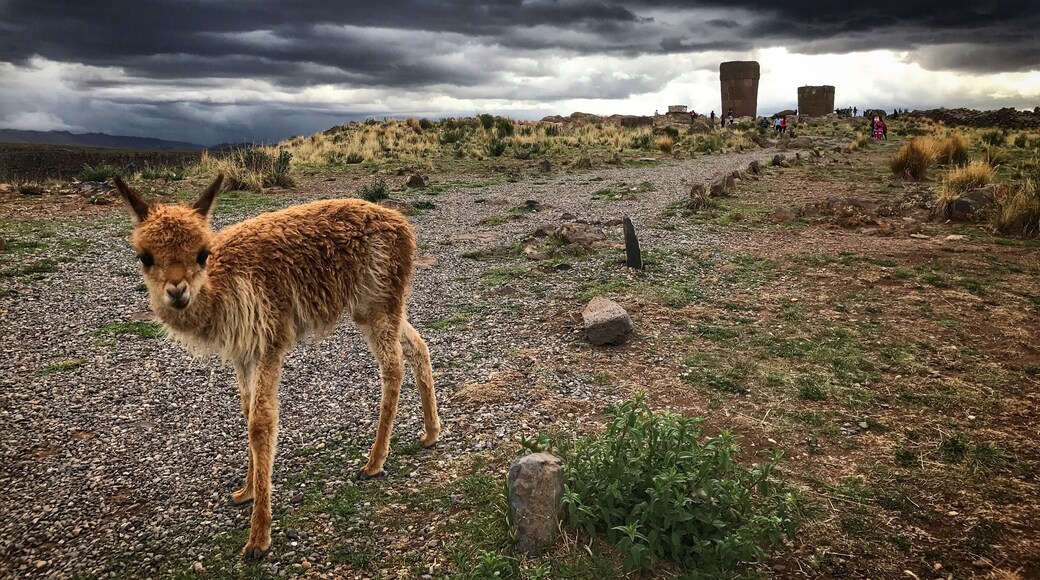 Being here just before a storm gives you the opportunity to get some great light.