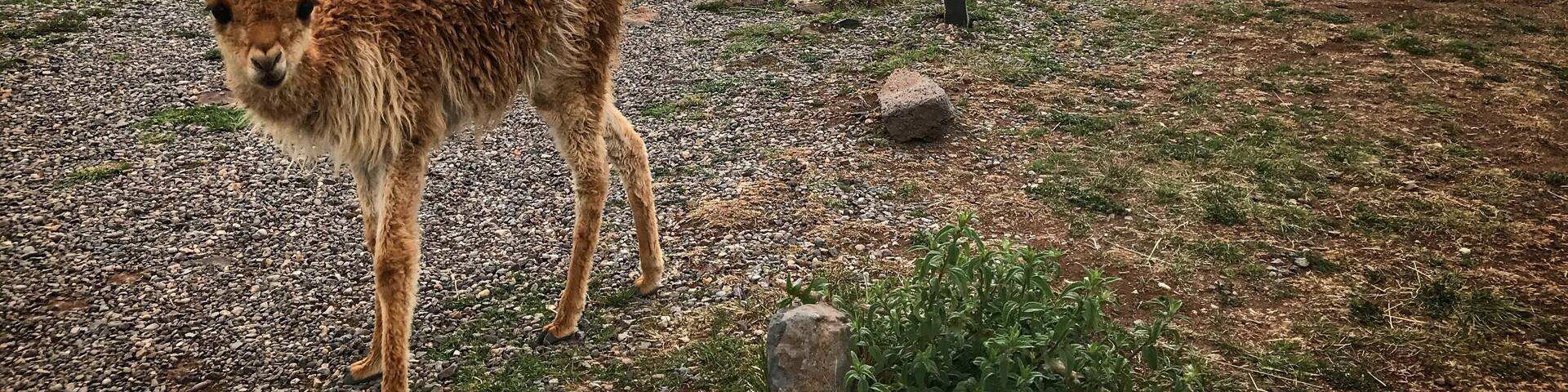 Being here just before a storm gives you the opportunity to get some great light.