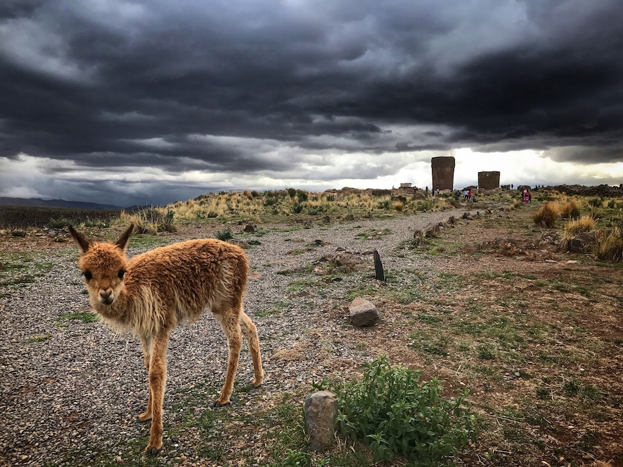 Being here just before a storm gives you the opportunity to get some great light.