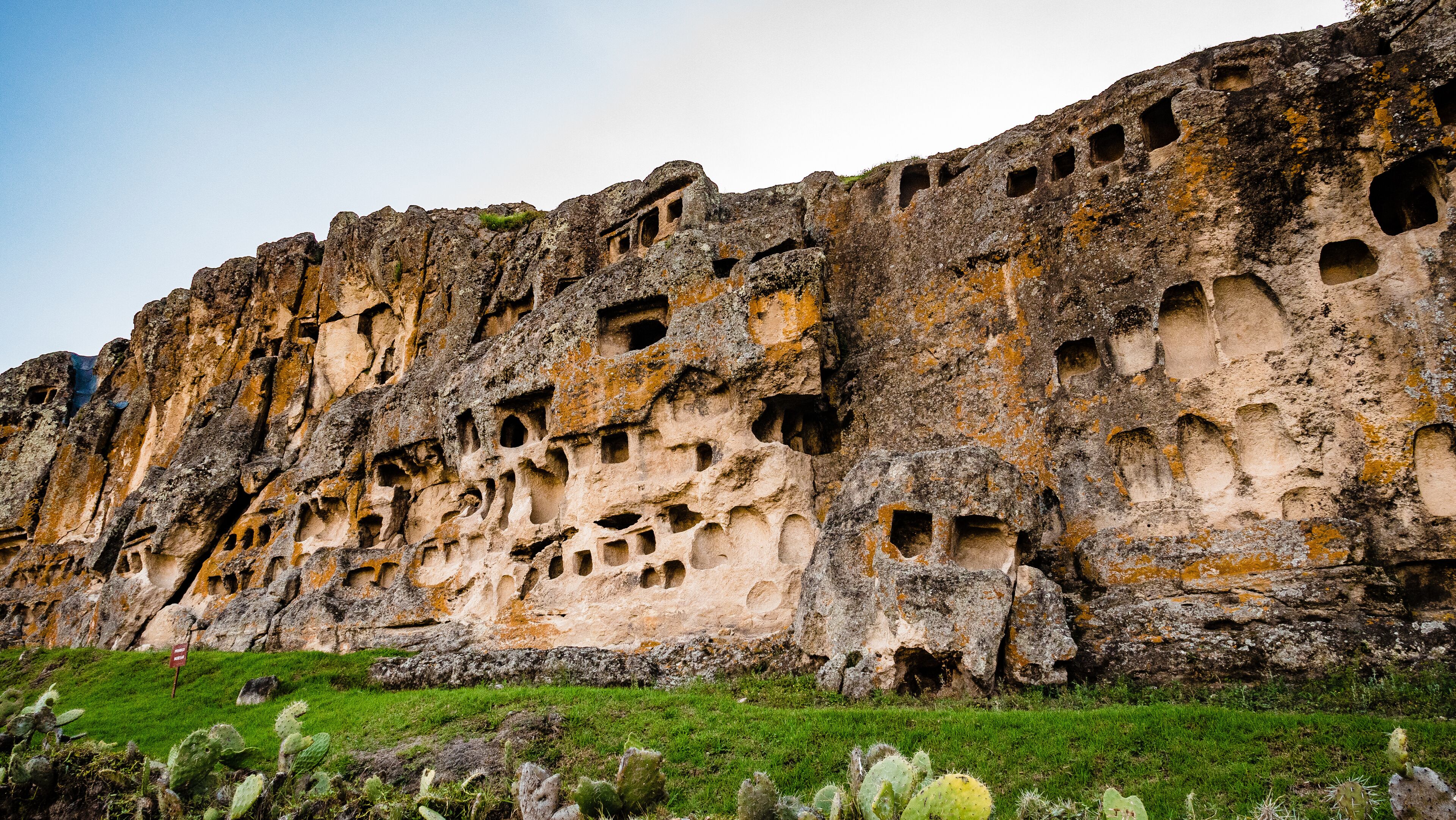 A rock face with numerous cave-like openings and a grassy foreground with cacti.