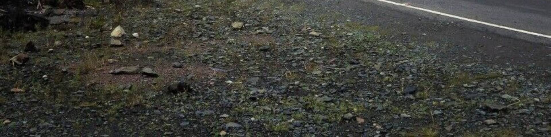 As I was biking down The Andes, on my way to Aguas Calientes, I entered this foggy and dangerous landslide area and I just HAD to take a photo of it and send it to my mom.
#TroverDetour
