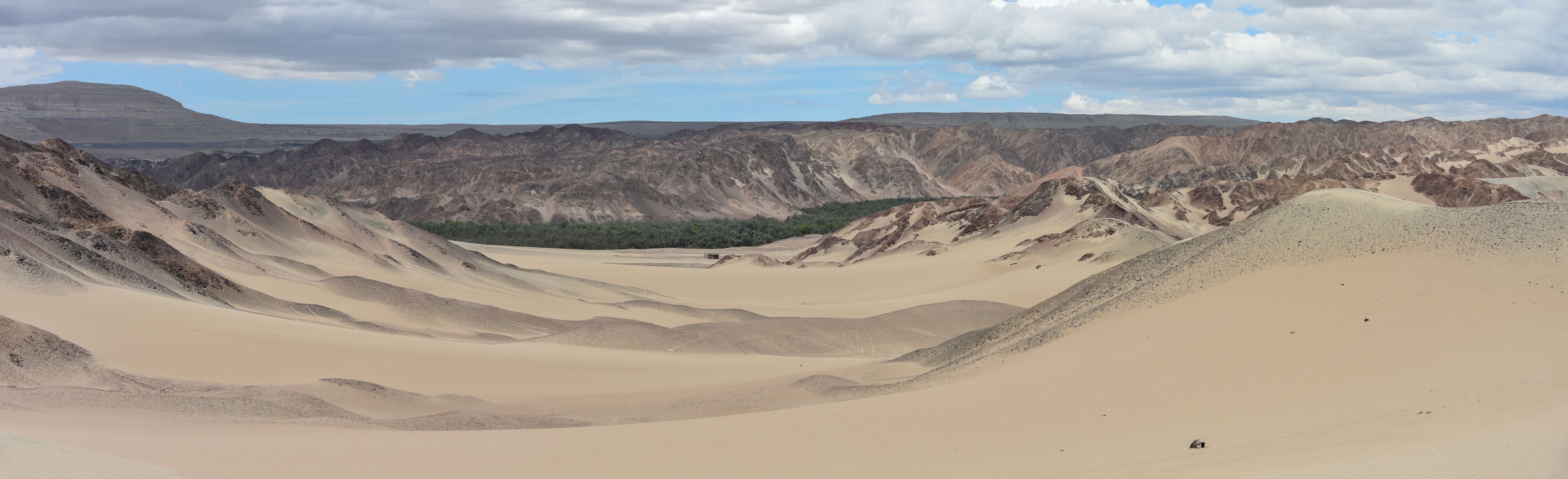 A vast desert landscape with rolling sand dunes and rugged mountains in the background.