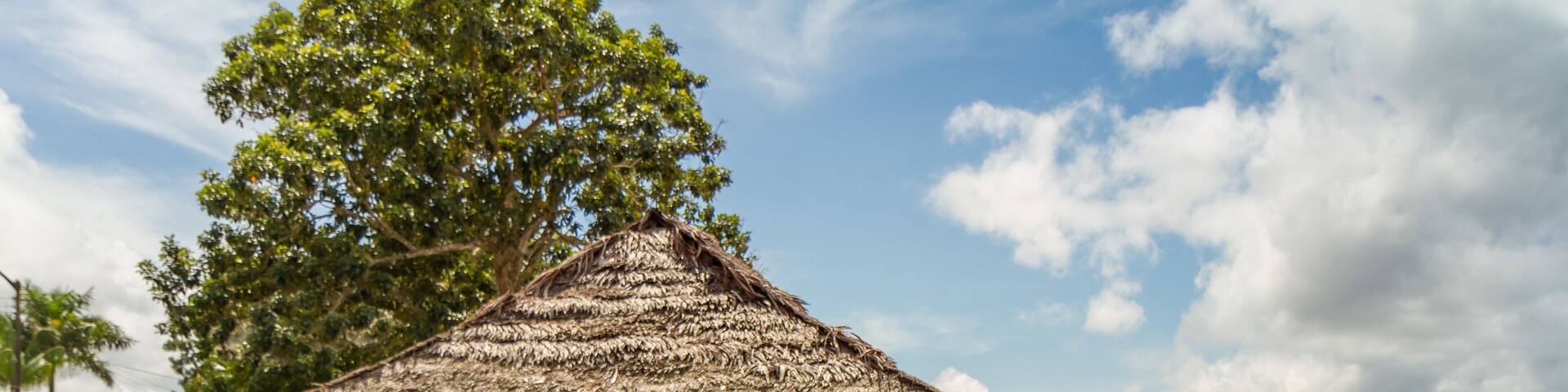 A Thatched Roof Refueling Gas Station on the Amazon River in Peru