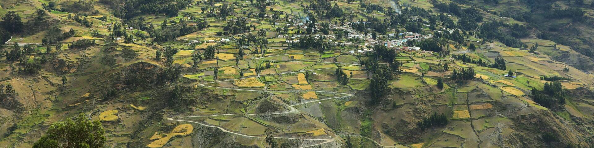 View of fields in the way to Huanuco, Peru