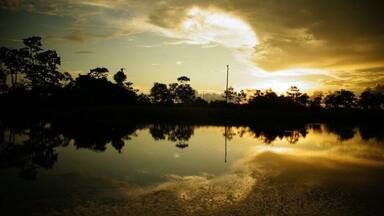 I don't know if it was because I was on the equator in December in the Peruvian Amazon, but traveling on a boat with Aqua Expeditions showed me #goldenhour light unlike any I've encountered anywhere! Not to mention lush jungles, amazing wildlife, and new Amazonian cultures and people.