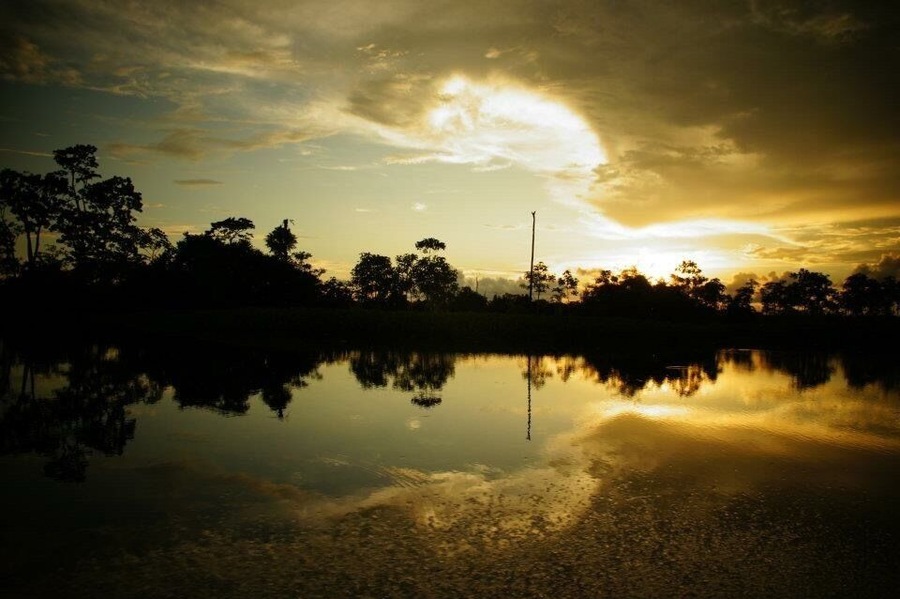 I don't know if it was because I was on the equator in December in the Peruvian Amazon, but traveling on a boat with Aqua Expeditions showed me #goldenhour light unlike any I've encountered anywhere! Not to mention lush jungles, amazing wildlife, and new Amazonian cultures and people.