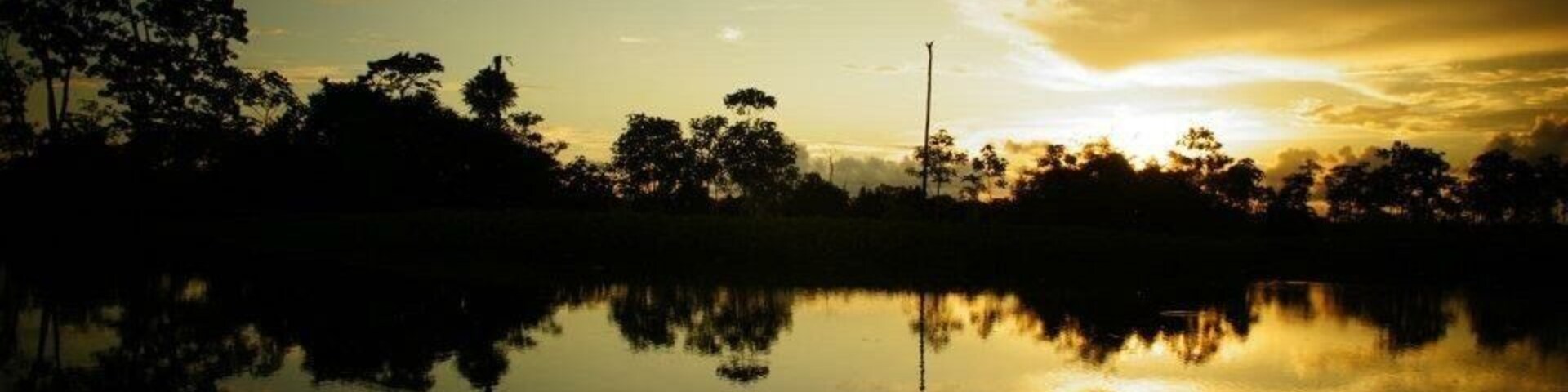 I don't know if it was because I was on the equator in December in the Peruvian Amazon, but traveling on a boat with Aqua Expeditions showed me #goldenhour light unlike any I've encountered anywhere! Not to mention lush jungles, amazing wildlife, and new Amazonian cultures and people.