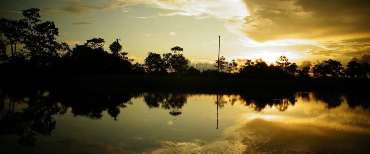 A sunset over a calm lake with trees silhouetted against the sky.