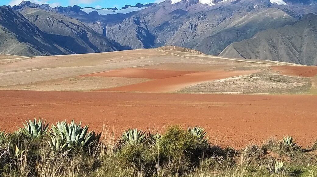 Ladies and Gentlemen, presenting a Peruvian postcard for you!
We are so thrilled to be back in South America. Follow the hashtag #Funtravelog_Peru for more updates!