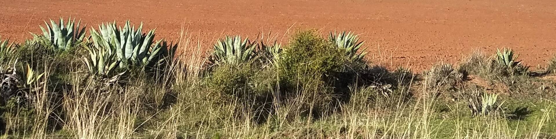Ladies and Gentlemen, presenting a Peruvian postcard for you!
We are so thrilled to be back in South America. Follow the hashtag #Funtravelog_Peru for more updates!