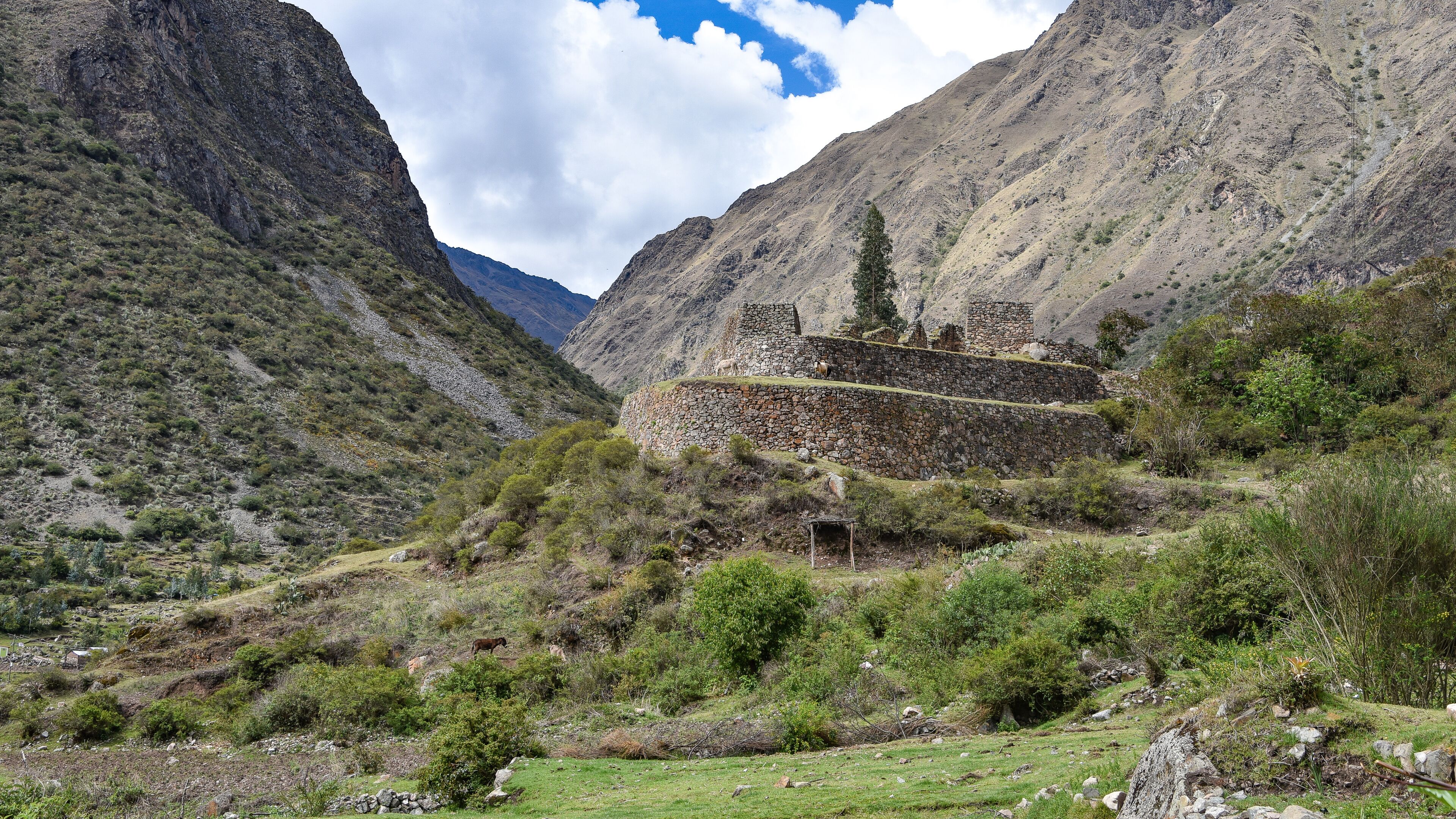 A mountainous landscape with a stone structure and grazing animals.