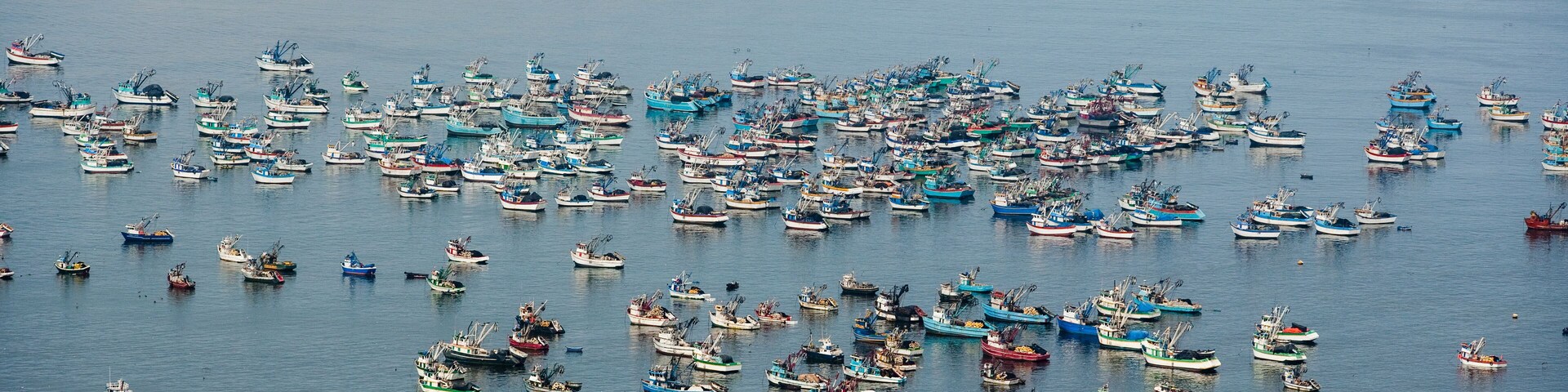 Una extensa masa de agua con numerosos barcos pequeños reunidos.