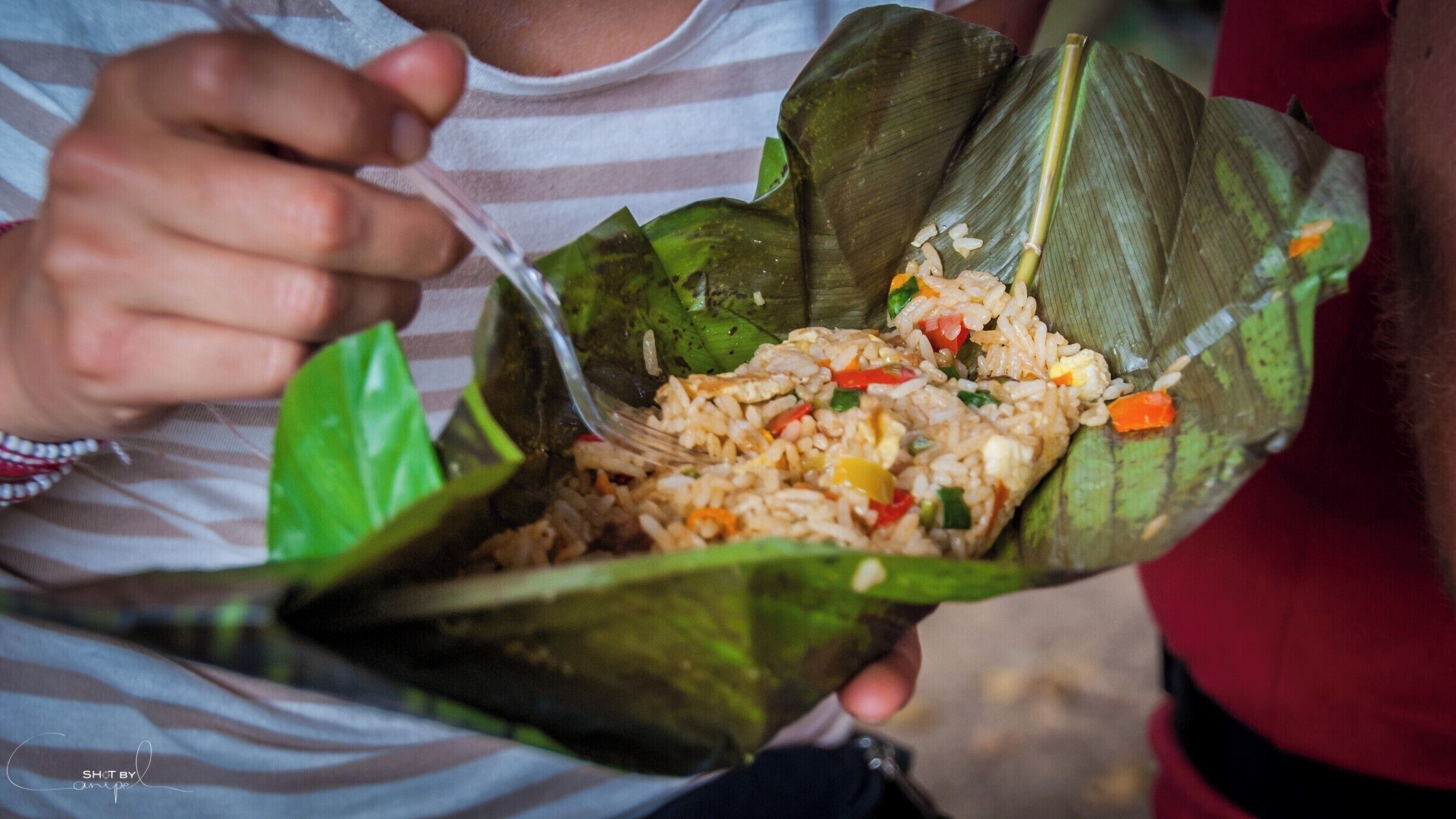 In the amazone the food was amazingly good! Especially the original plates they use ;)
 #restaurant #troveon #peru #delicious