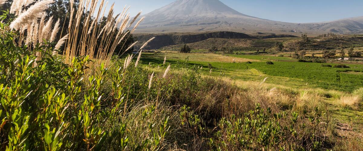 Misti volcano from the fields of the town of Chiguata in Arequipa