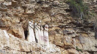 A rock face with carved human figures.