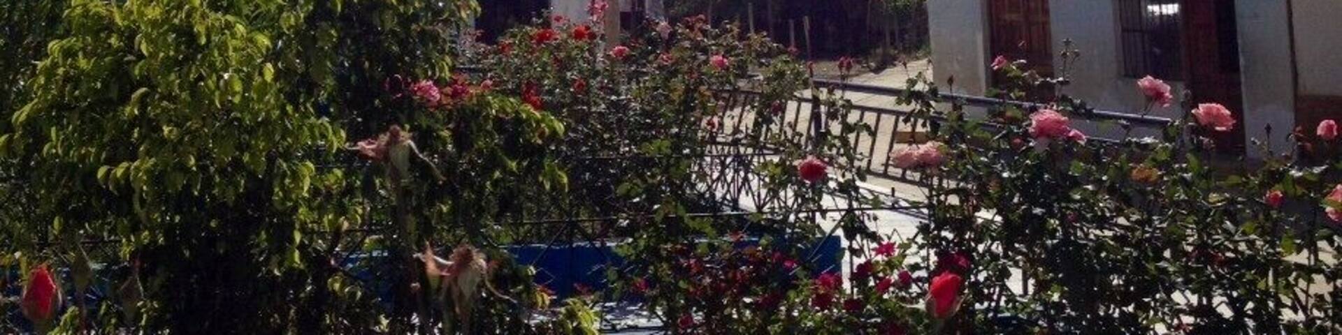 Beautiful view of Huascaran, the highest mountain in Peru.
