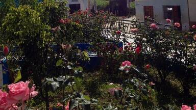 Beautiful view of Huascaran, the highest mountain in Peru.