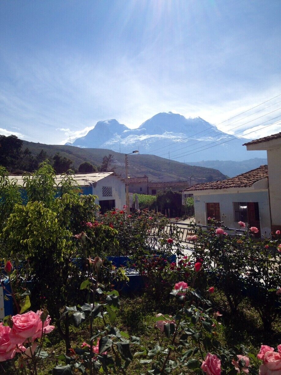 A village with houses, a mountain, and blooming pink roses.