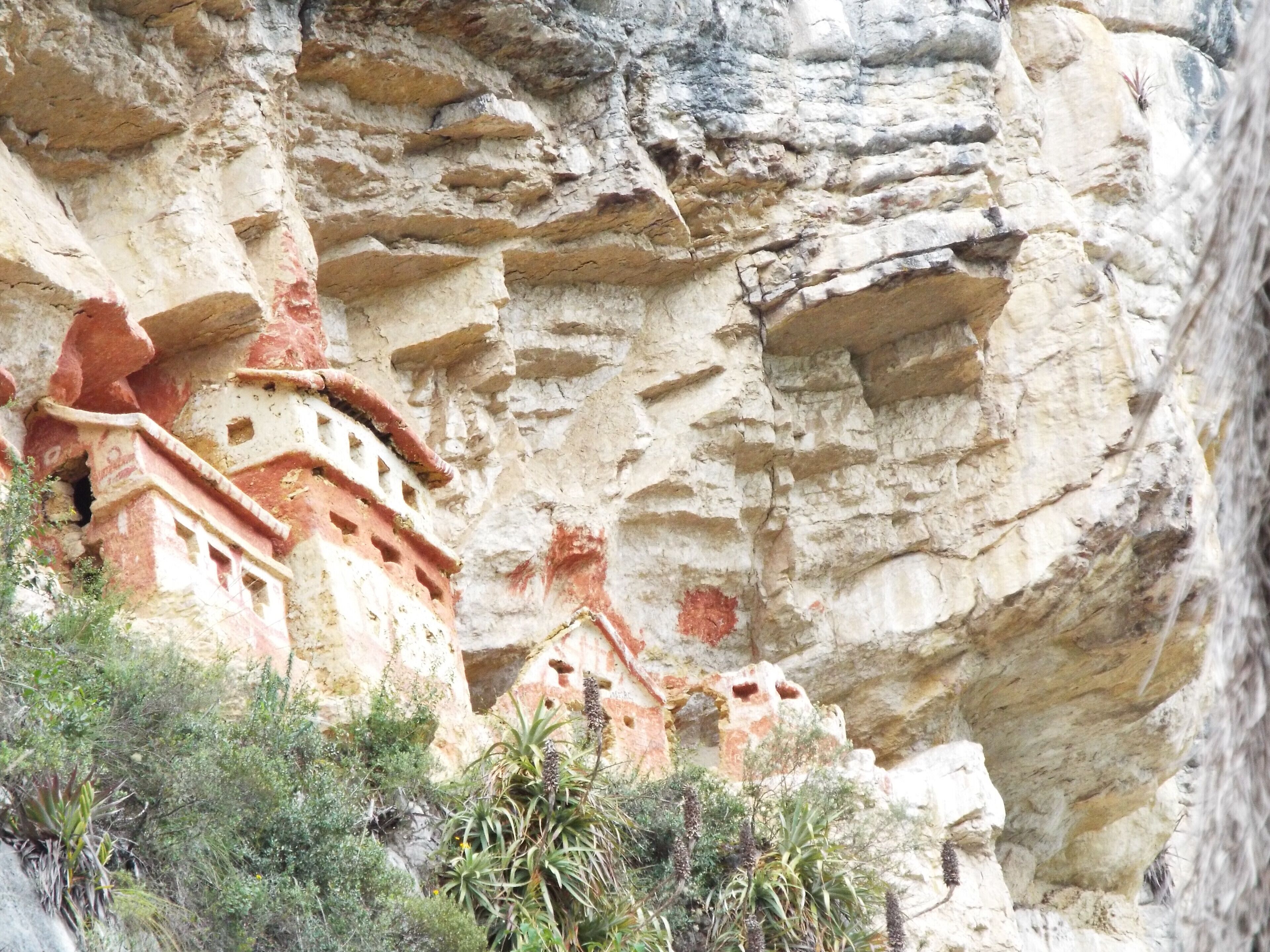 A rock formation with carved structures and vegetation.