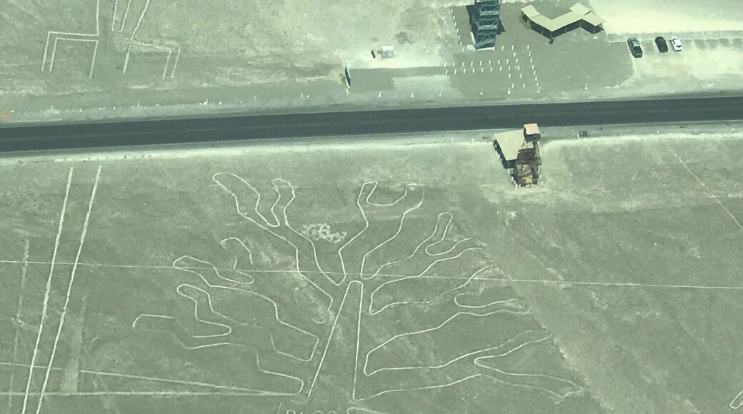 El vuelo impresionante la gente del checking bastante desagradable si no dices que si a todo te amenazantemente con no volar y les da igual !