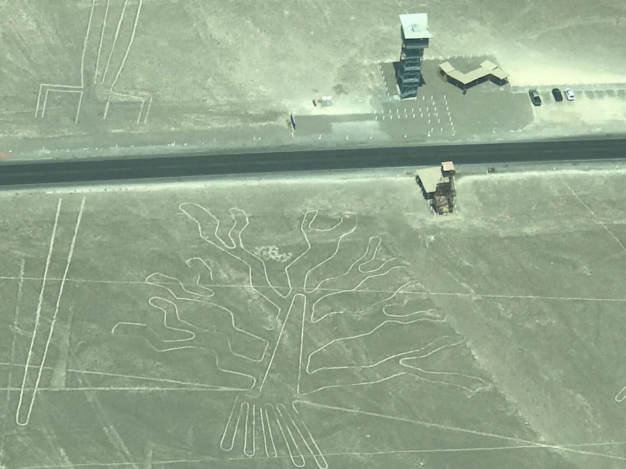 El vuelo impresionante la gente del checking bastante desagradable si no dices que si a todo te amenazantemente con no volar y les da igual !