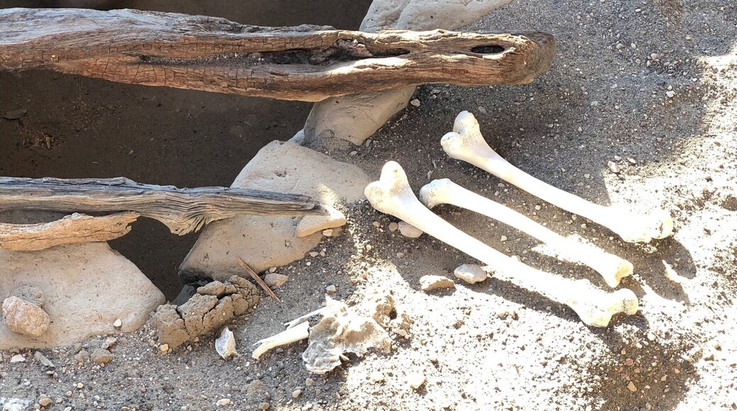 Cemetery during the Nazca civilisation