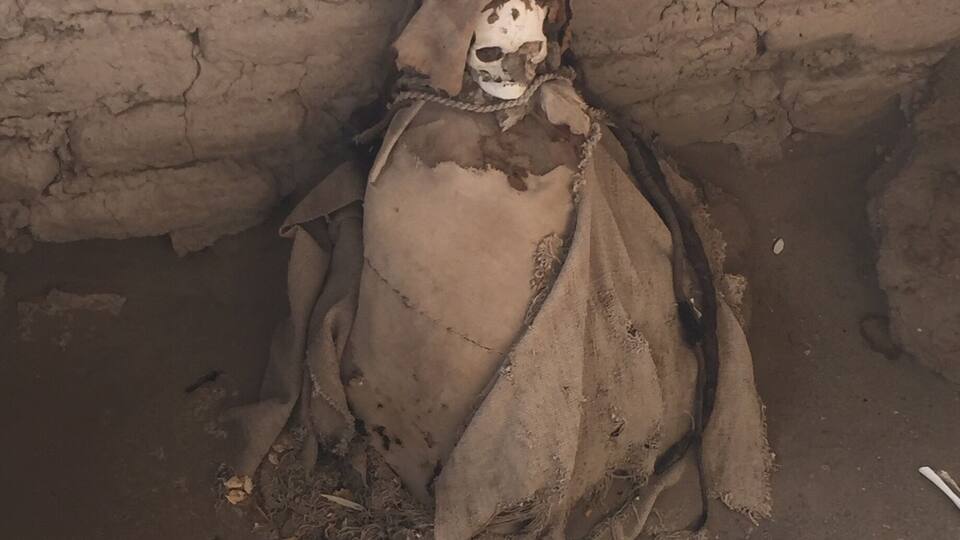 A skeletal figure in a hooded robe, surrounded by debris and a brick wall.