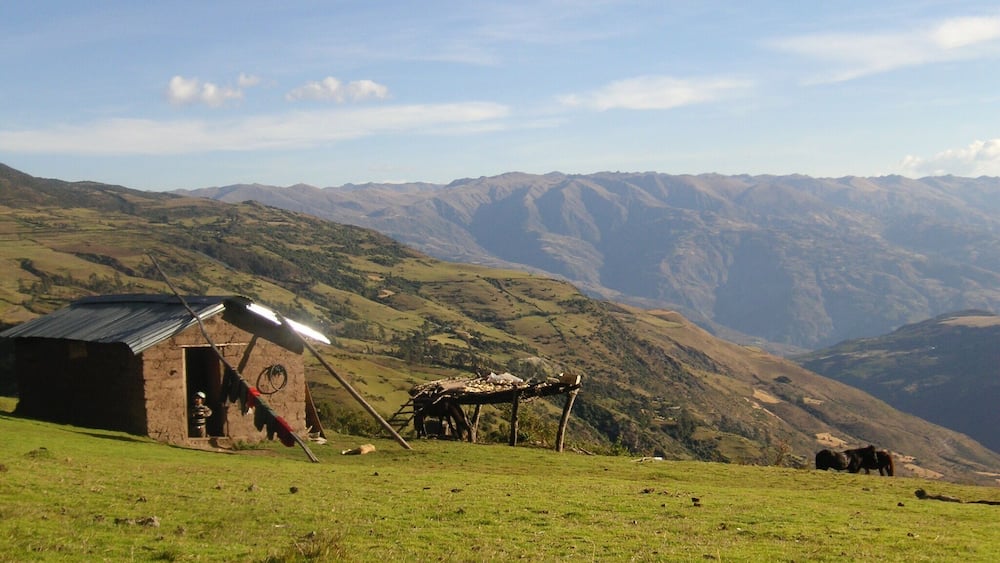 A rural landscape with a small building, a wooden structure, and grazing animals.