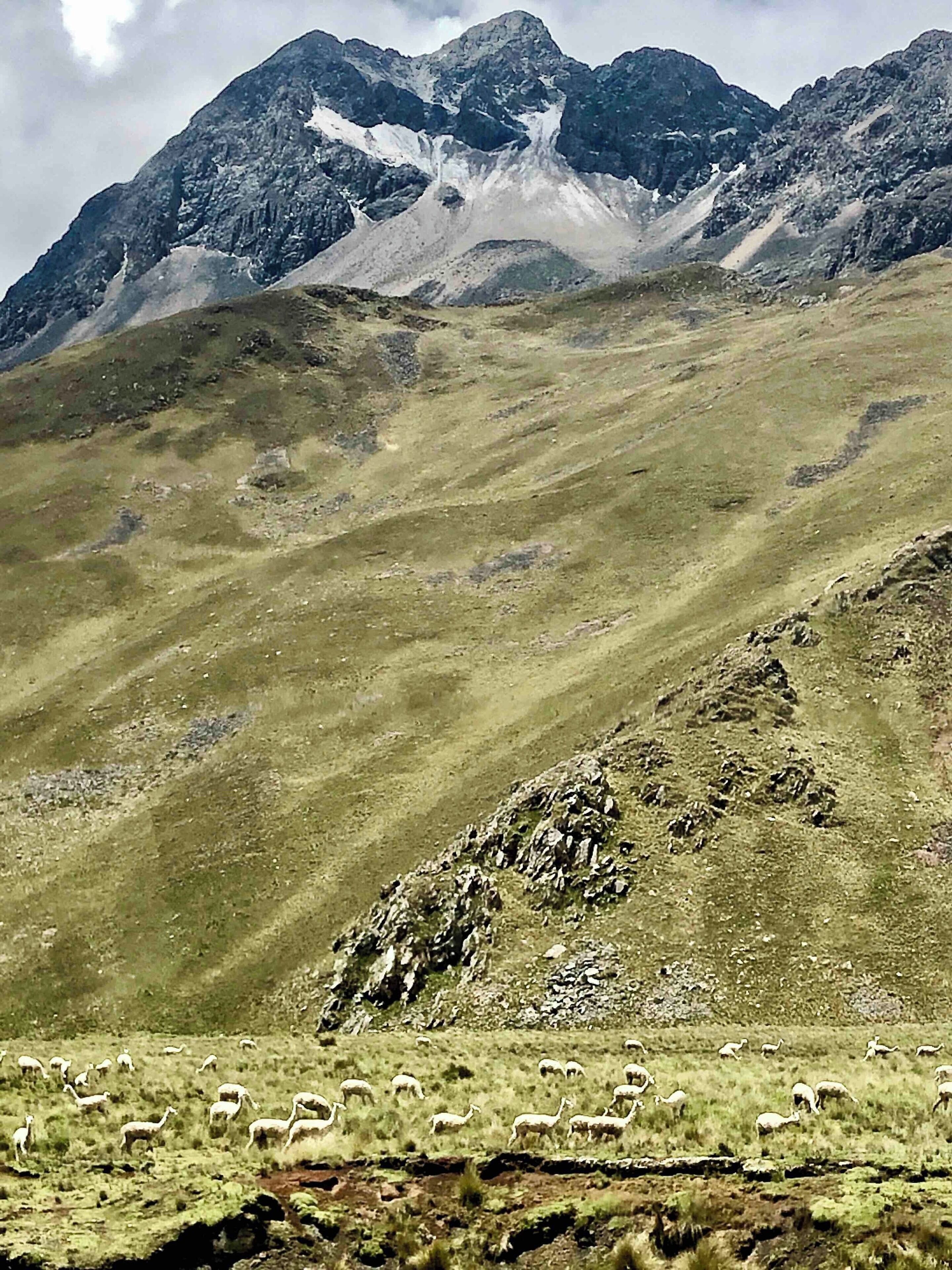 A mountainous landscape with grazing animals and rocky terrain.