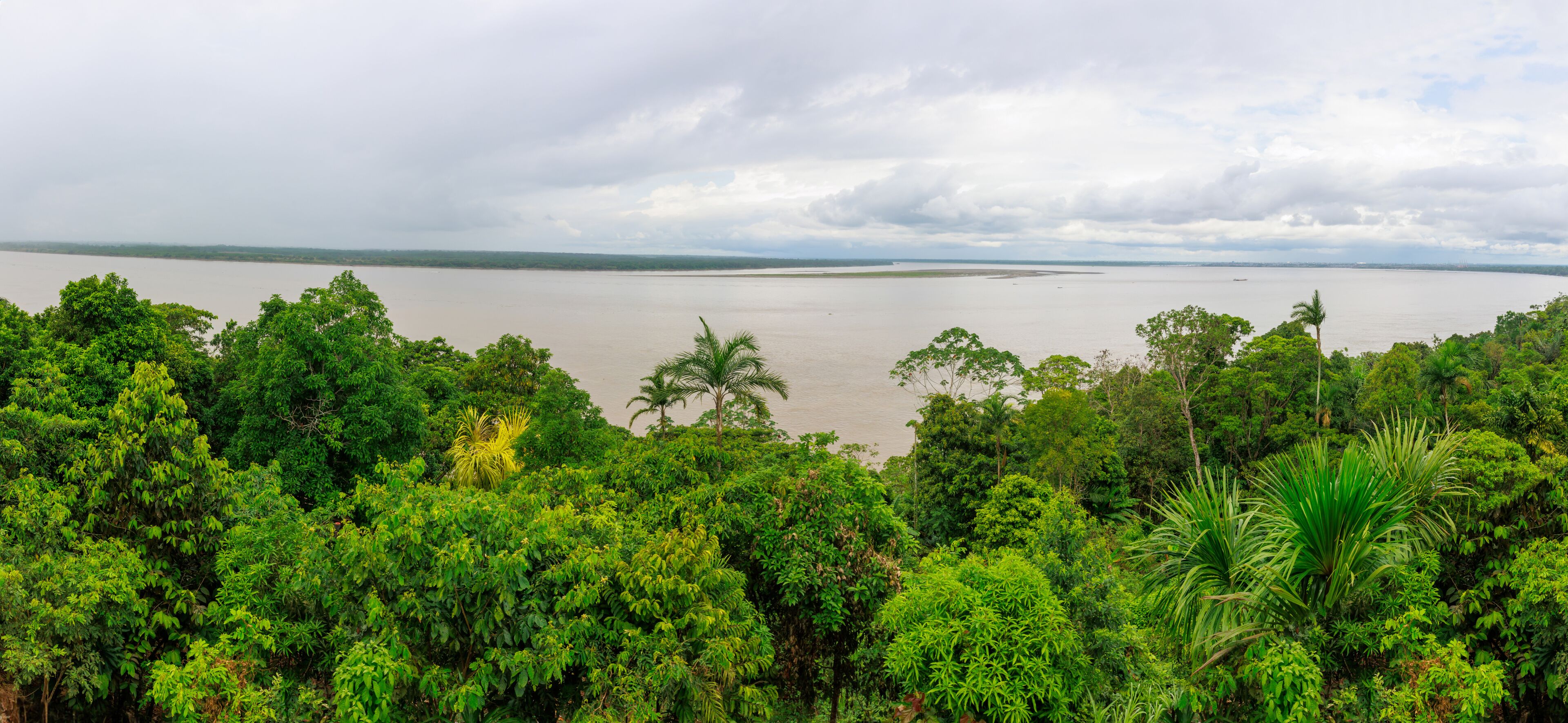 A river surrounded by dense green foliage and a cloudy sky.
