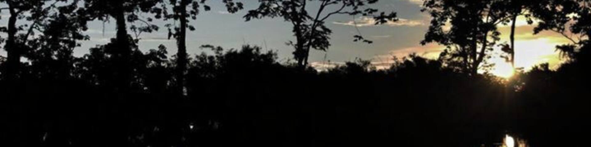 #TroveOn #colorful
The light in the Amazon was unlike anywhere else that I've been to so far, making spectacular images in the trees and on the water.