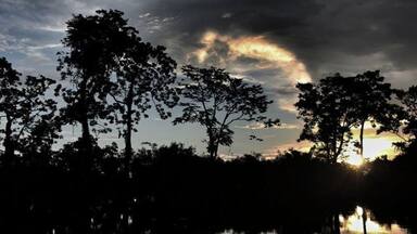 #TroveOn #colorful
The light in the Amazon was unlike anywhere else that I've been to so far, making spectacular images in the trees and on the water.