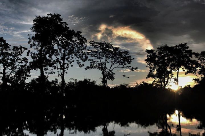 A sunset over a body of water with trees silhouetted against the sky.