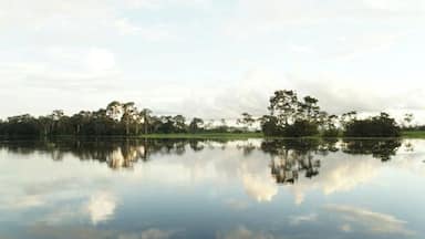#TroveOn #colorful
the Amazon from the Peruzian side.