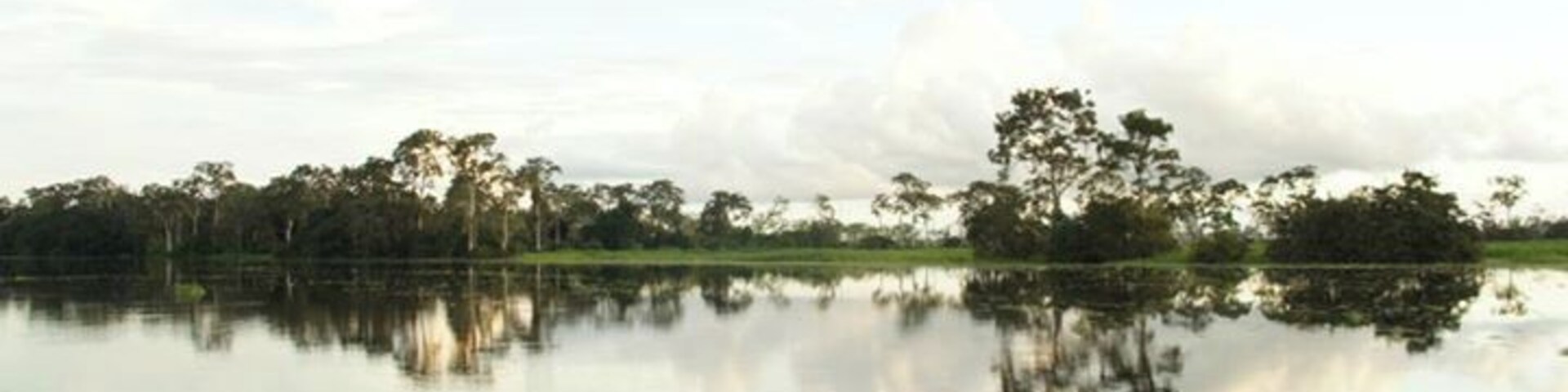 #TroveOn #colorful
the Amazon from the Peruzian side.