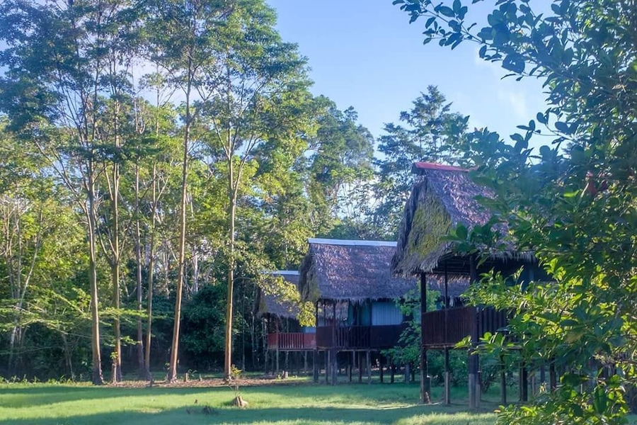 The lodge is 3 hours boat ride from Iquitos, Peru deep in the Amazon & is the perfect spot to experience the real rainforest. Animals were abundant and truly wild unlike some lodges closer to Iquitos which have captive animals.