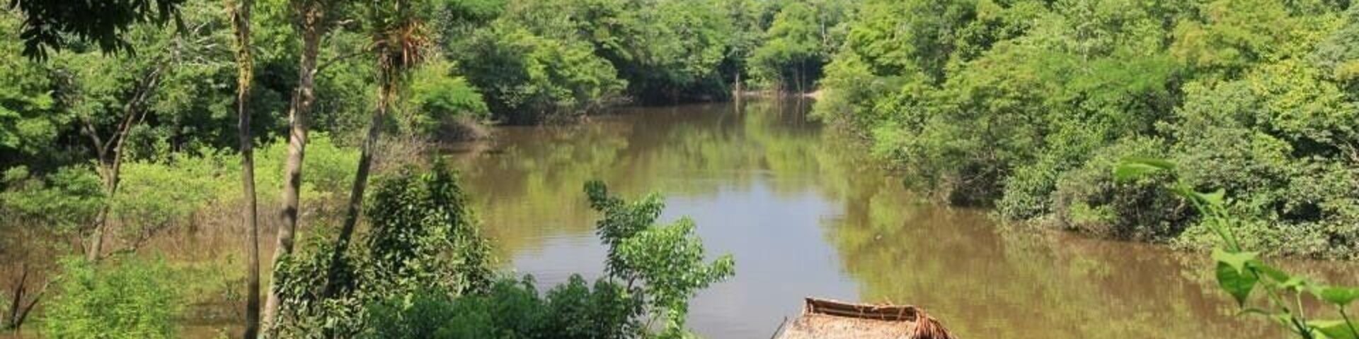 Un río rodeado de densa vegetación verde, una pequeña embarcación con techo de paja y una estructura de madera en la orilla.
