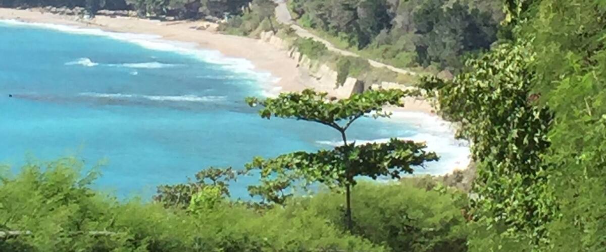 A coastal road with a beach and dense forest.