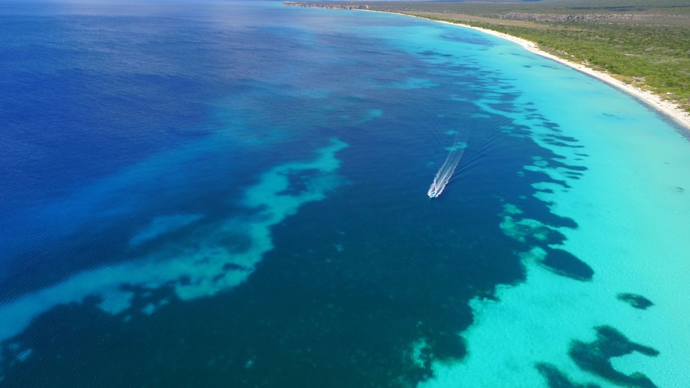 Bahía De Las Aguilas is know as the most beautiful beach in Dominican Republic, located in the Southwestern coast. It is a hidden gem with crystal clear water and white sand.
Make sure to bring your sunblock.
#LifeAtExpedia
#LifeAtExpediaGroup