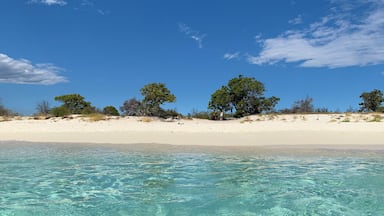 Bahia de Las Aguilas is a remote beach in the southwestern part of the Dominican Republic, close to the border with Haiti. The place is still very underdeveloped, with no hotels and only two glamping resorts. Both glamping resorts we’re supposed to be eco-conscious, so imagine our disappointment when we saw that single use plastic was everywhere. We took time to talk to the owner and explain that in such a remote place, it’s a lot more convenient in the long run to do away with plastic altogether. Guess what - he listened, and the dinner table was set up with reusable cups and plates. A small win for responsible tourism!
#TroverRT #GoDomRep