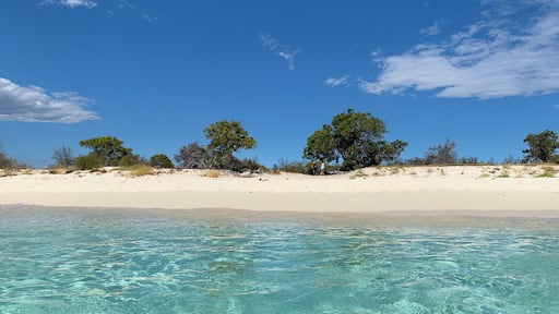 Bahia de Las Aguilas is a remote beach in the southwestern part of the Dominican Republic, close to the border with Haiti. The place is still very underdeveloped, with no hotels and only two glamping resorts. Both glamping resorts we’re supposed to be eco-conscious, so imagine our disappointment when we saw that single use plastic was everywhere. We took time to talk to the owner and explain that in such a remote place, it’s a lot more convenient in the long run to do away with plastic altogether. Guess what - he listened, and the dinner table was set up with reusable cups and plates. A small win for responsible tourism!
#TroverRT #GoDomRep