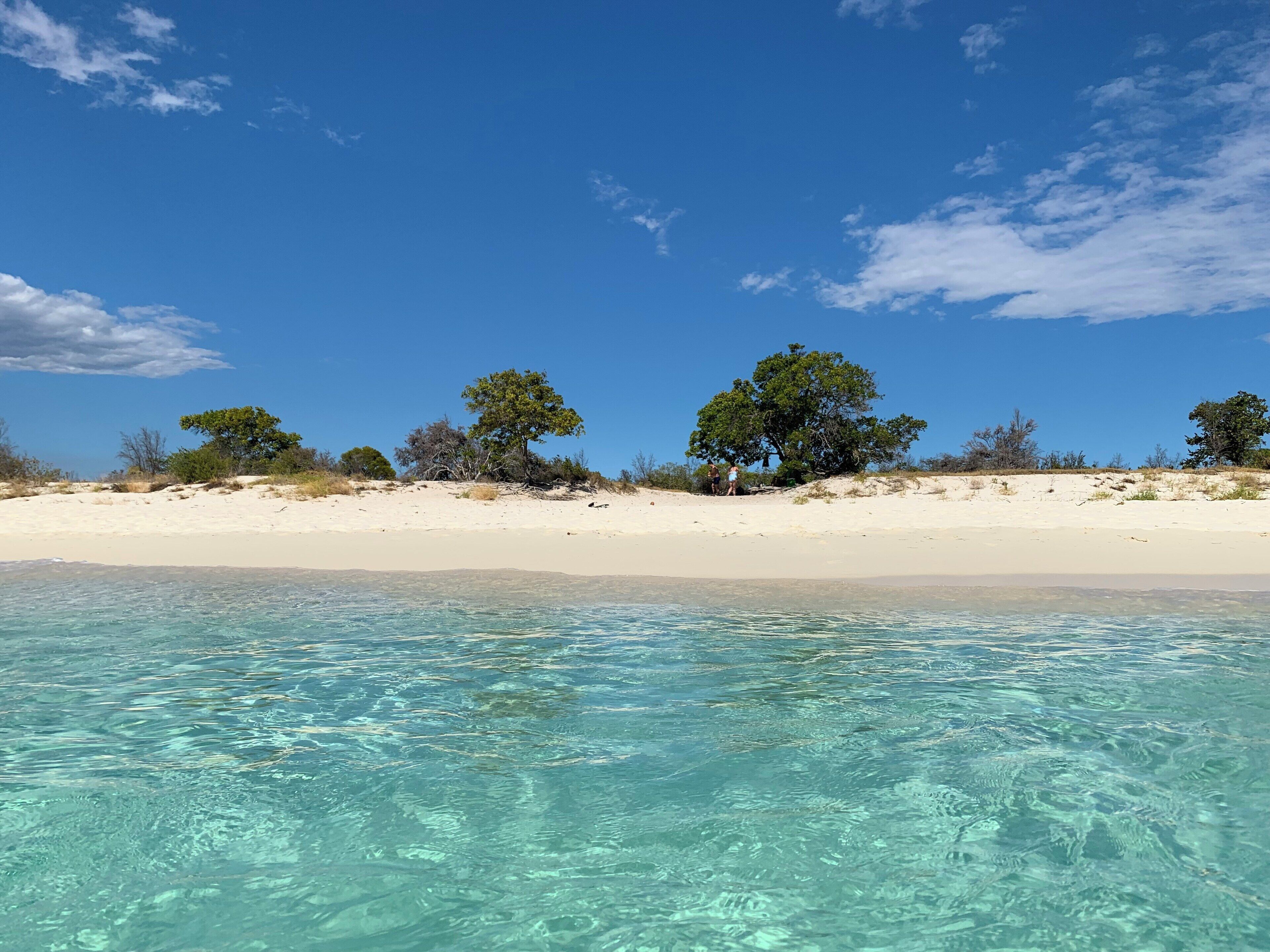 A beach with clear turquoise water, sandy dunes, and scattered trees.