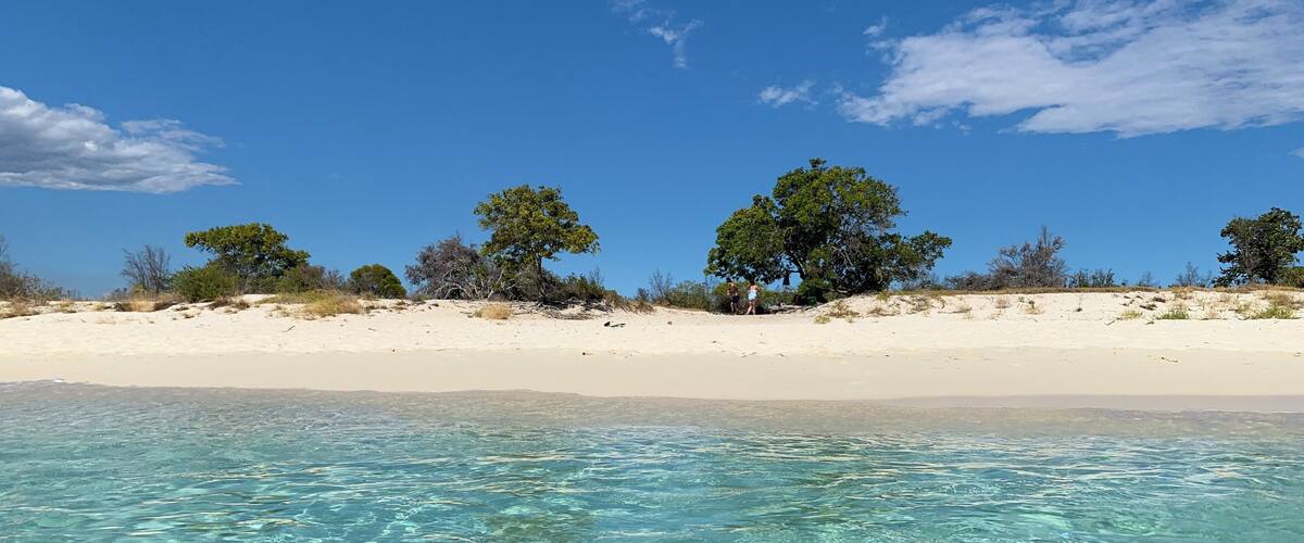 A beach with clear turquoise water, sandy dunes, and scattered trees.
