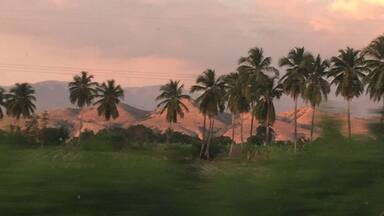 Puesta de sol entre lomas y cocoteros