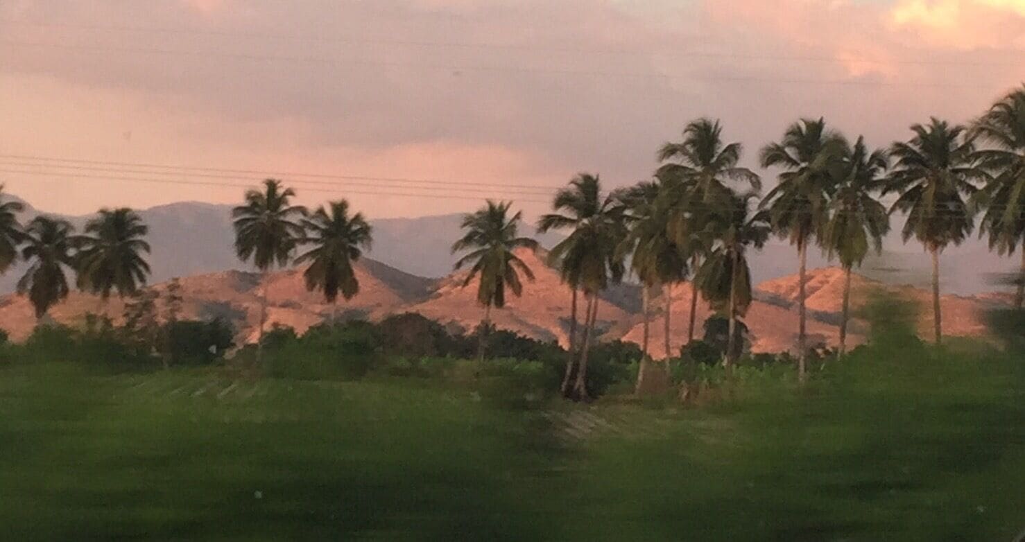 A landscape with palm trees and mountains in the background.