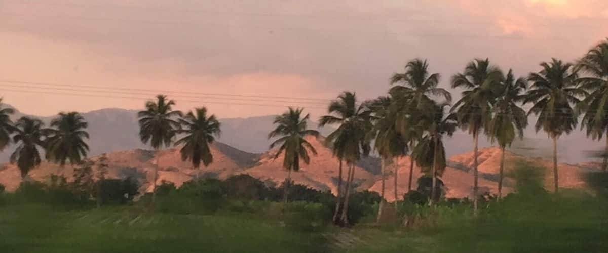 A landscape with palm trees and mountains in the background.